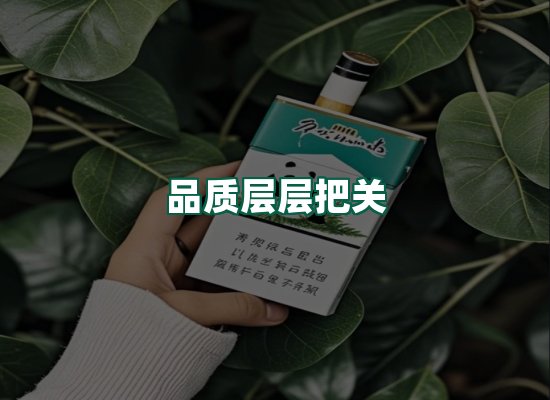 核心优势